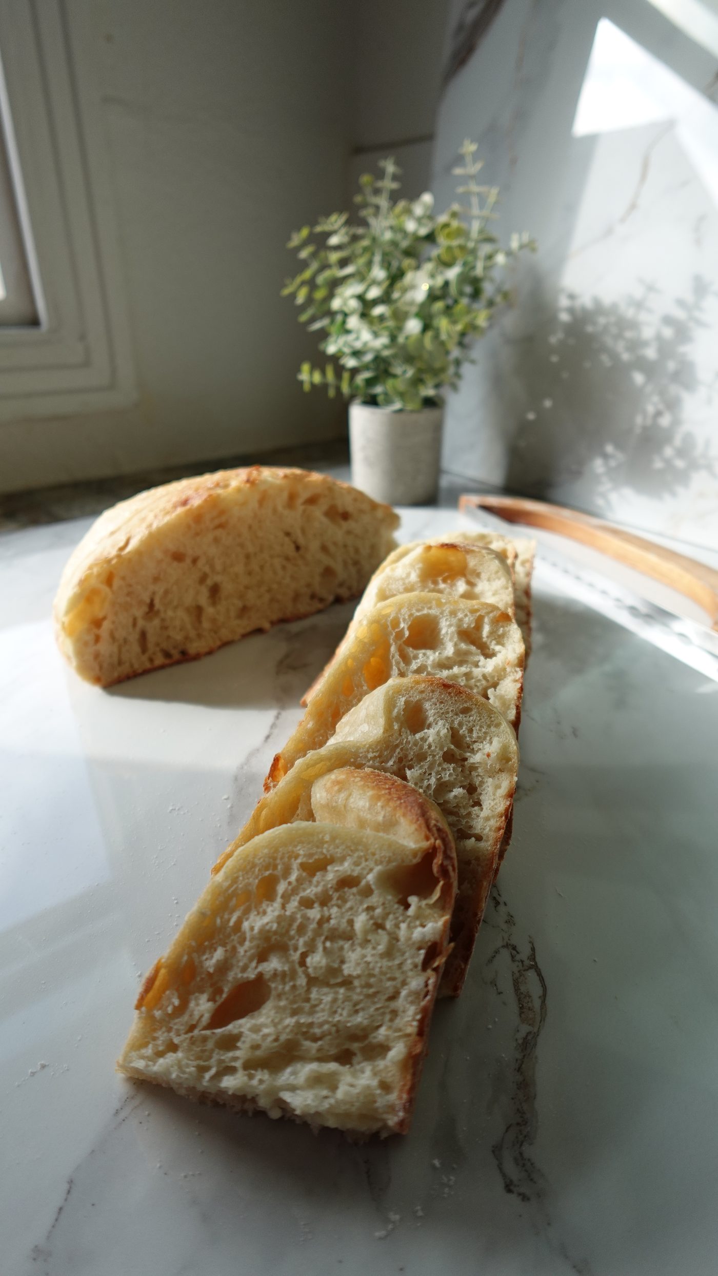 Classic sourdough loaf sliced open